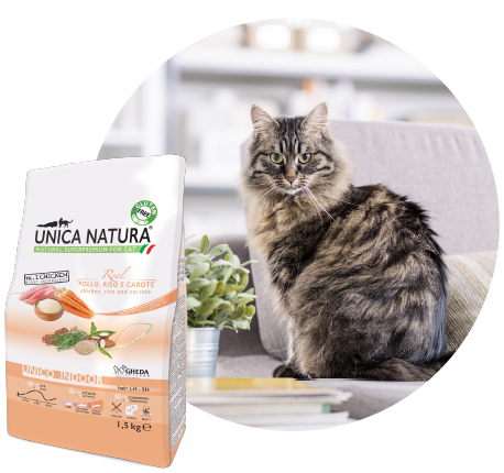 Unico Indoor